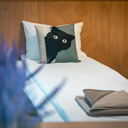 公寓 Trinavis Boutique Apartments, Own Private Parking, Center, Entire *